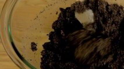 идеальный рулет с маком