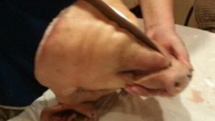 рулет из свиной головы