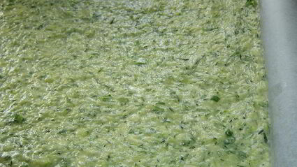 рулет из цукини с морковно-грибной начинкой