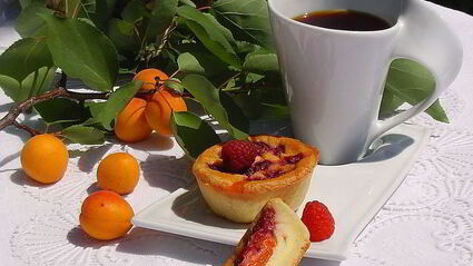 творожные заливные корзиночки с абрикосами и малиной