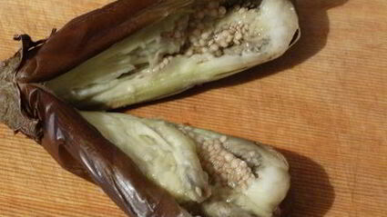 закуска из запечённого баклажана