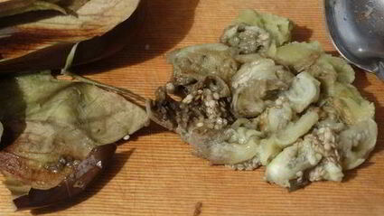 закуска из запечённого баклажана