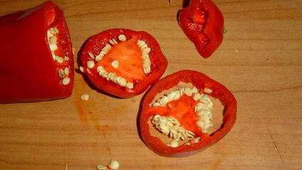 закуска пивная кружка