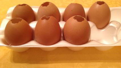 заливные яйца