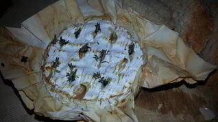 Запеченый камамбер